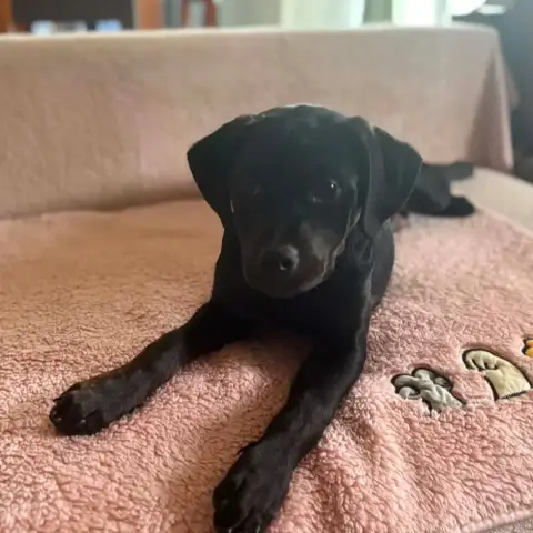 Benny