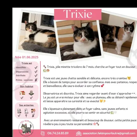 Trixie