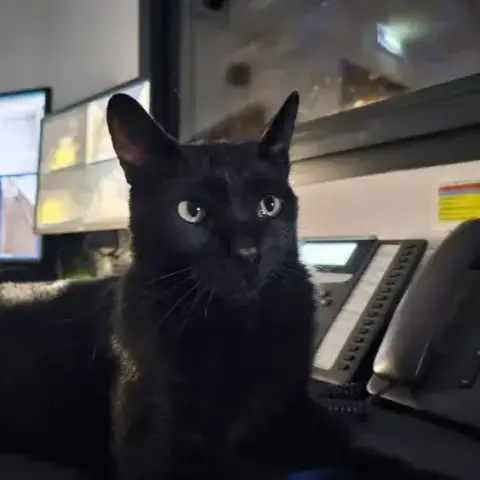 Rocket