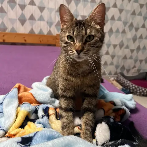 Kimie