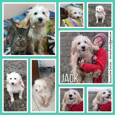 Jack