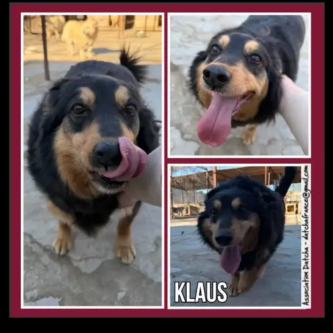 Klaus