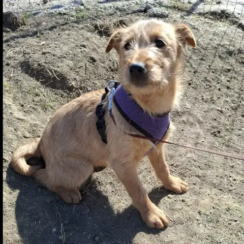 Wanda photo 3
