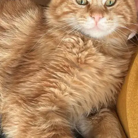 Billy