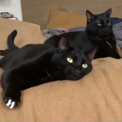 Tchou Et Polo A Adopter Ensemble photo 3