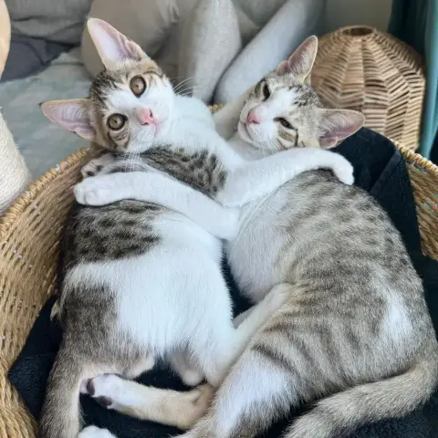 Pablo & Oscar