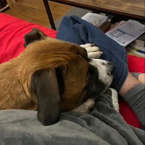 Rocky photo 2
