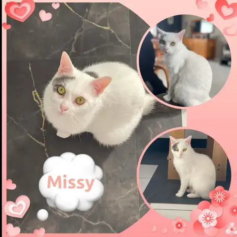 Missy