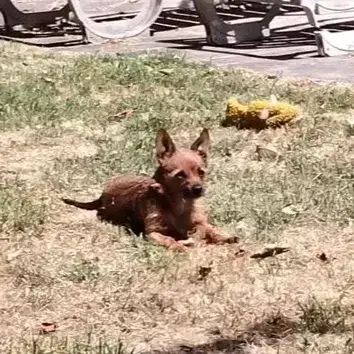 Mia