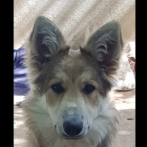Thor photo 2
