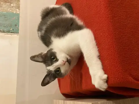 Vagabonde photo 2