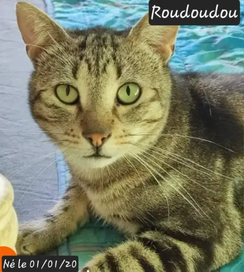 Roudoudou
