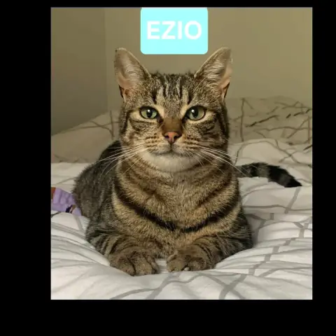 Ezio