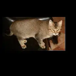 Abbys photo 2