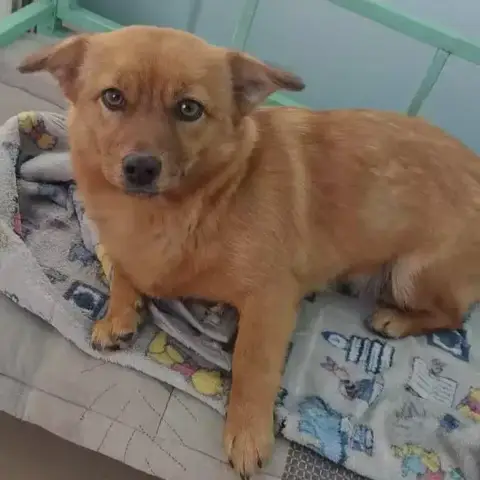Mary Chine Urgent!!!