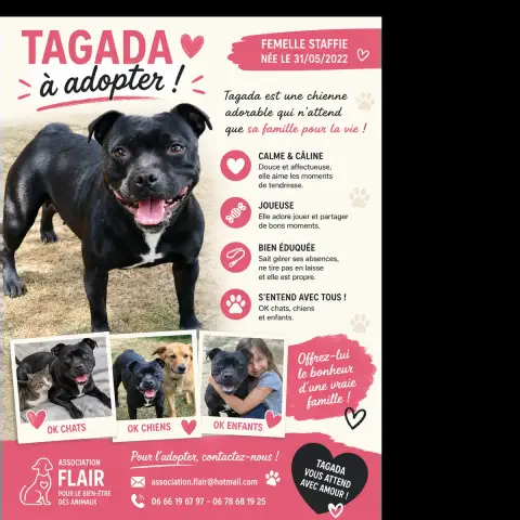Tagada