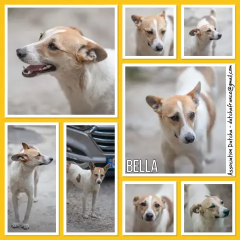 Bella