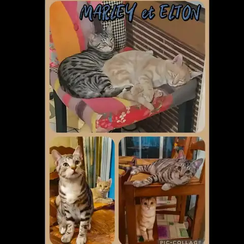 Elton & Marley