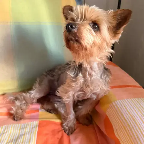 Lola photo 2