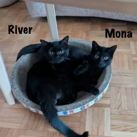 Mona & River