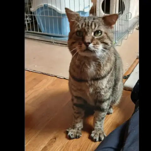 Max