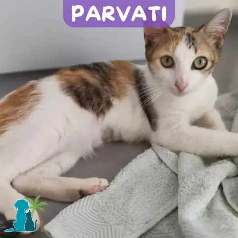 Parvati