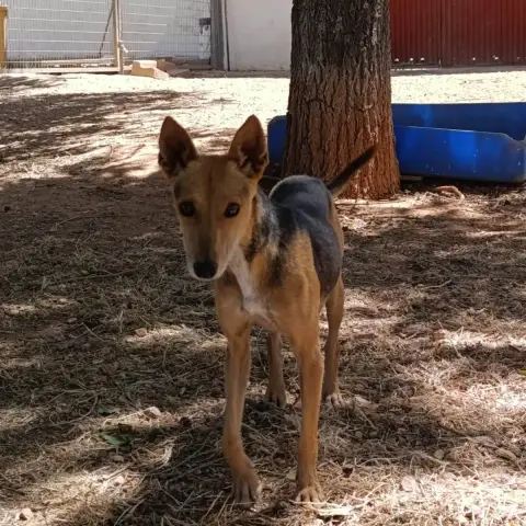 Zoé