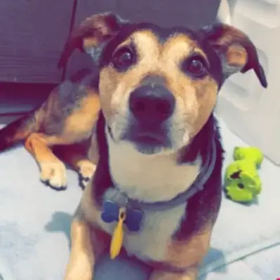 Milo