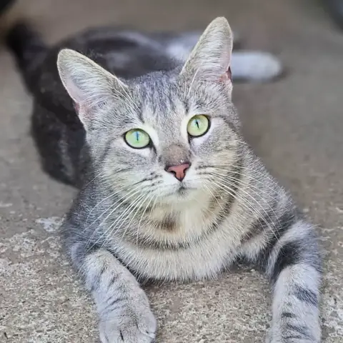 Nirvana