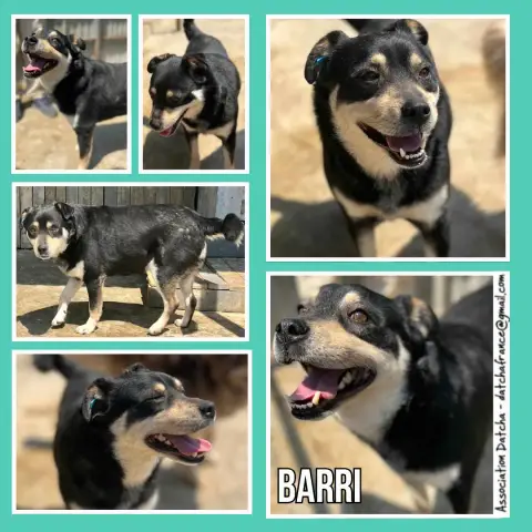 Barri