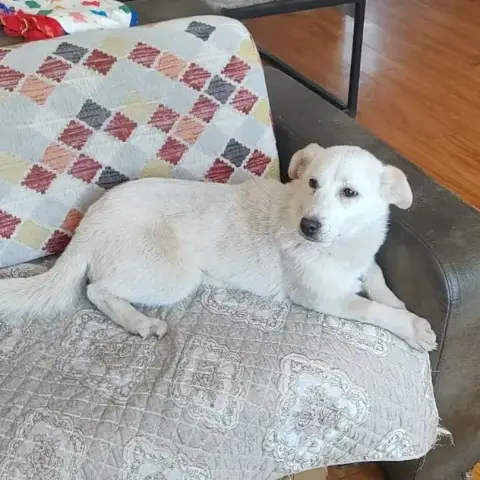 Maggie