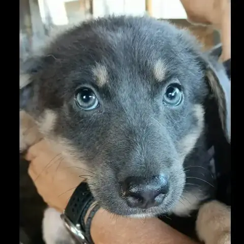 Wilma photo 2