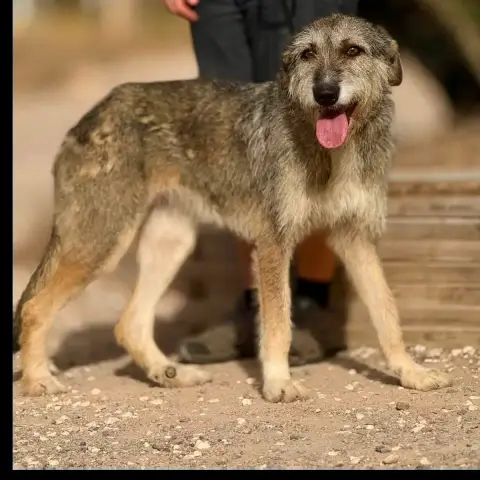 Ramona photo 3