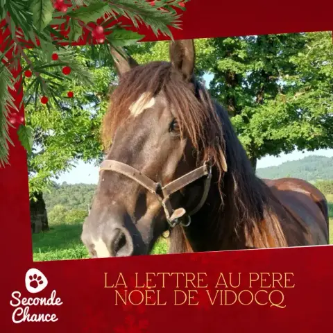 La Lettre Au Père Noël De Vidocq