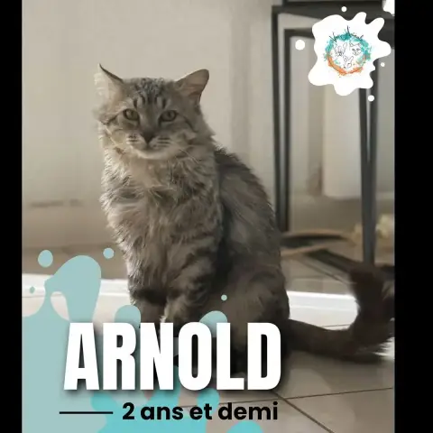 Arnold