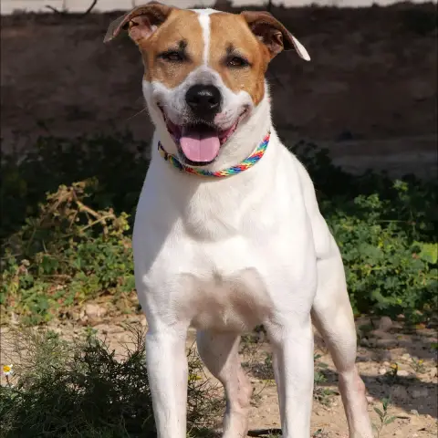 Zeus photo 2