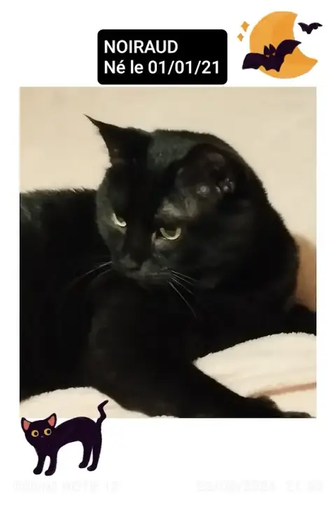 Noiraud photo 2