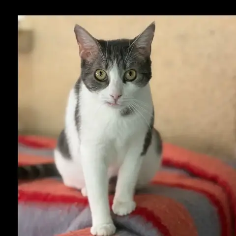 Céleste photo 3