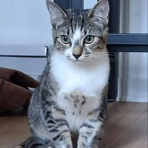 Milo