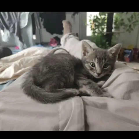 O'Malley