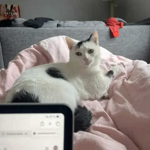 Yuki