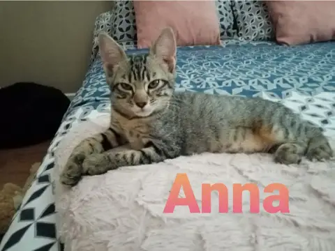 Anna