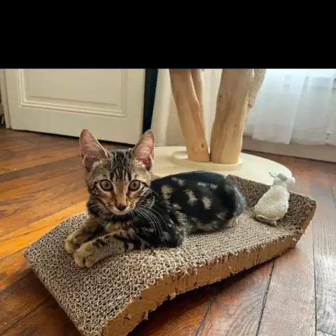 Mars