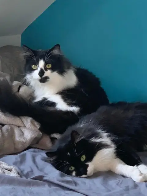Prada & Romy