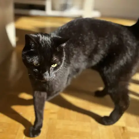 Roger