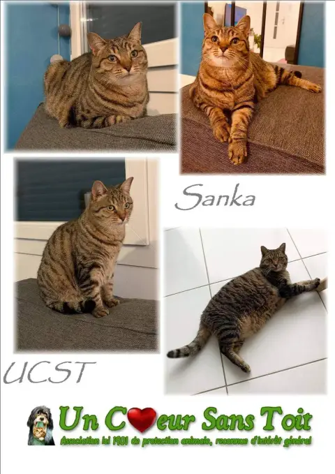Sanka Adoptee