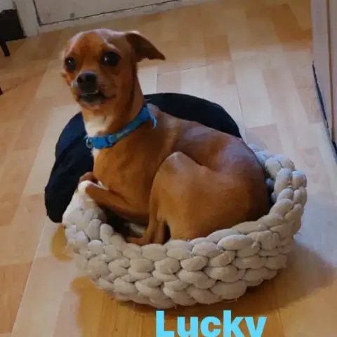 Lucky Et Rafaela