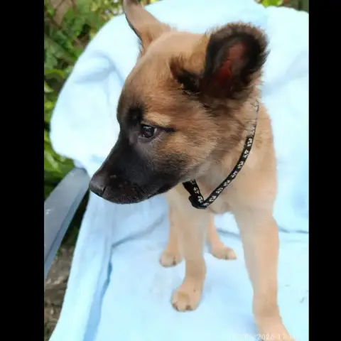 Kya