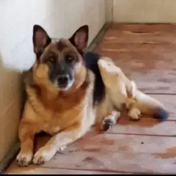 Lucy