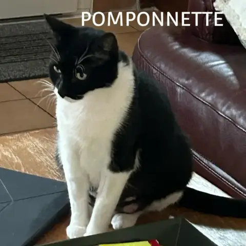 Pomponnette